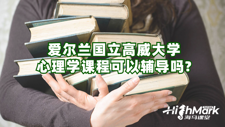 愛爾蘭國立高威大學(xué)心理學(xué)課程可以輔導(dǎo)嗎?