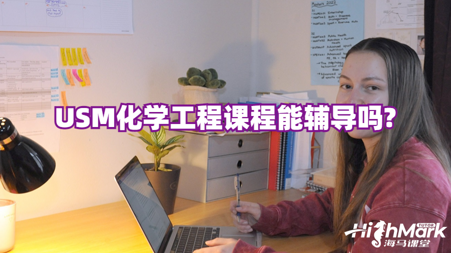 USM化學(xué)工程課程能輔導(dǎo)嗎?
