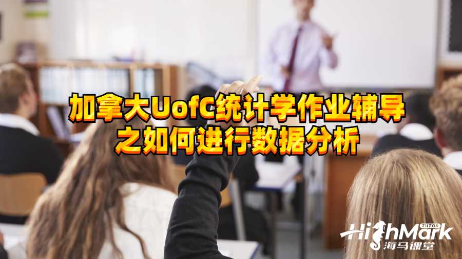 加拿大UofC統(tǒng)計(jì)學(xué)作業(yè)輔導(dǎo)之如何進(jìn)行數(shù)據(jù)分析