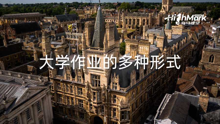 大學(xué)作業(yè)的多種形式