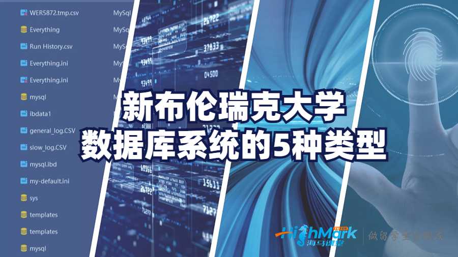 新布倫瑞克大學(xué)數(shù)據(jù)庫系統(tǒng)的5種類型