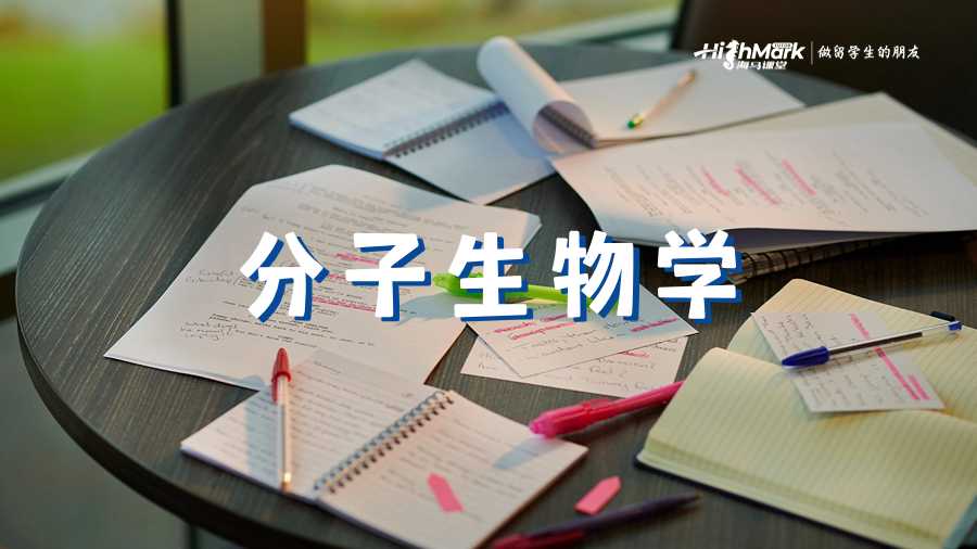 分子生物學(xué)