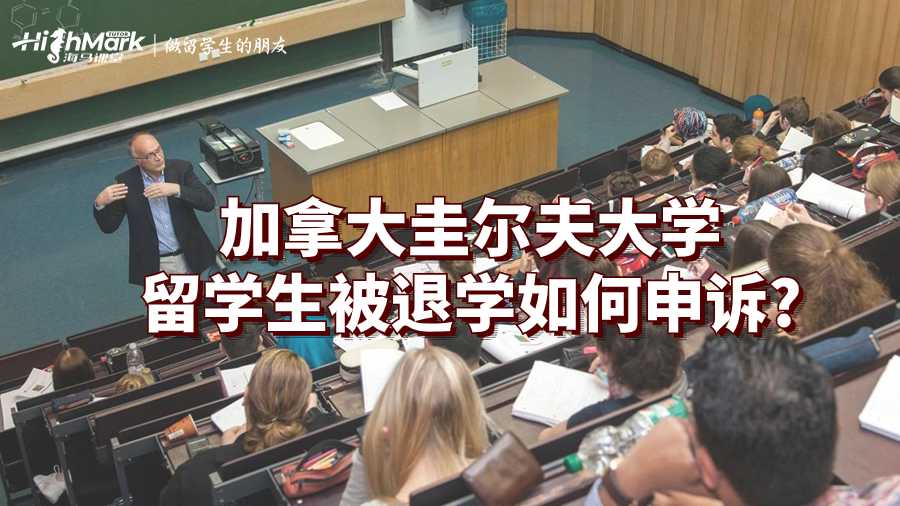 圭爾夫大學(xué)