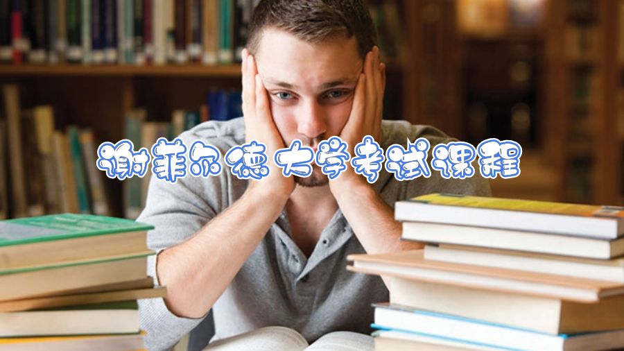 謝菲爾德大學(xué)考試課程