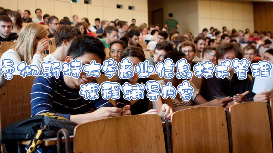 曼徹斯特大學(xué)商業(yè)信息技術(shù)管理課程輔導(dǎo)內(nèi)容