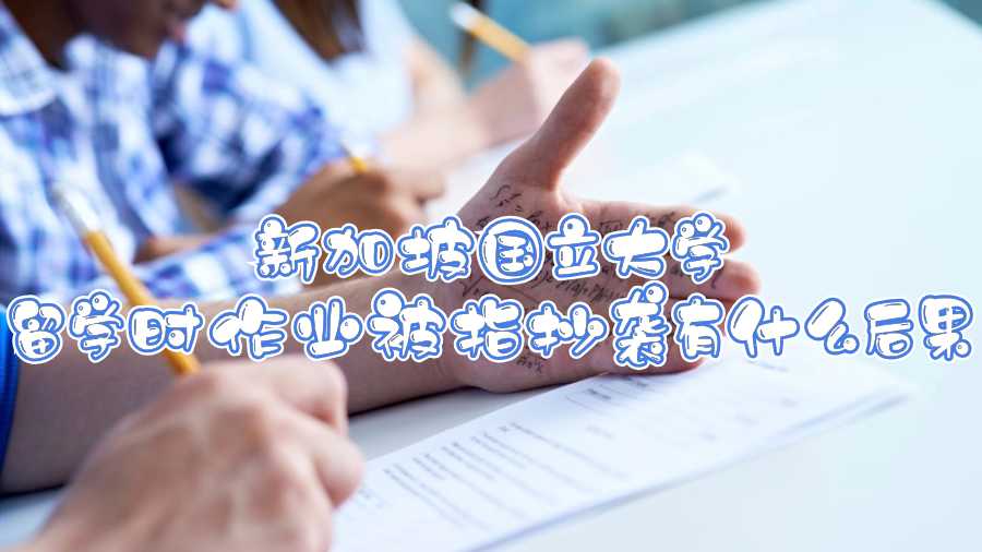 新加坡國立大學(xué)留學(xué)時(shí)作業(yè)被指抄襲有什么后果
