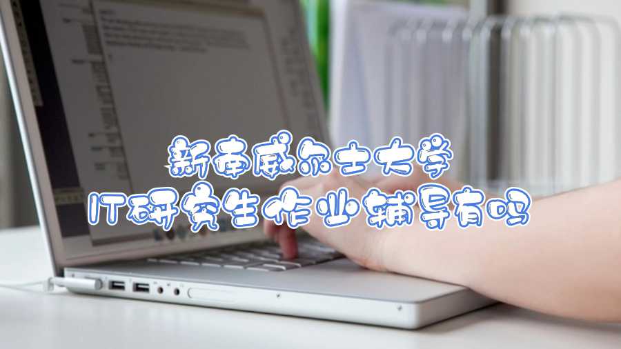 新南威爾士大學(xué)IT研究生作業(yè)輔導(dǎo)有嗎