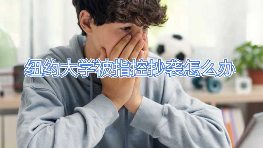 紐約大學被指控抄襲怎么辦