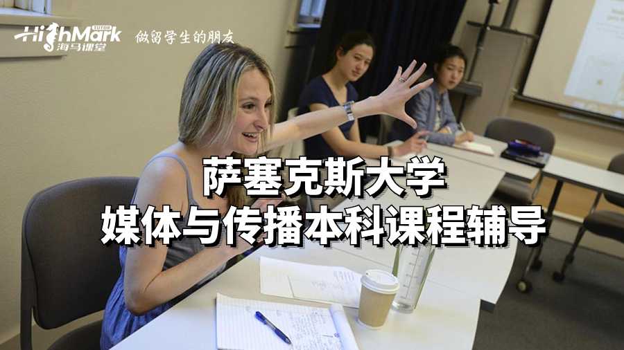 薩塞克斯大學(xué)媒體與傳播本科課程輔導(dǎo)