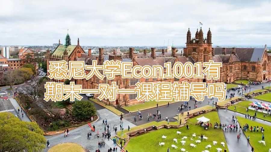 悉尼大學(xué)Econ1001有期末一對一課程輔導(dǎo)嗎