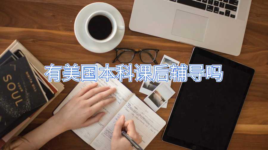 有美國本科課后輔導嗎