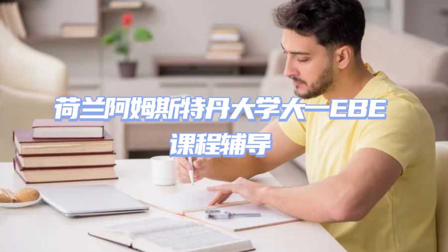 荷蘭阿姆斯特丹大學(xué)大一EBE課程輔導(dǎo)