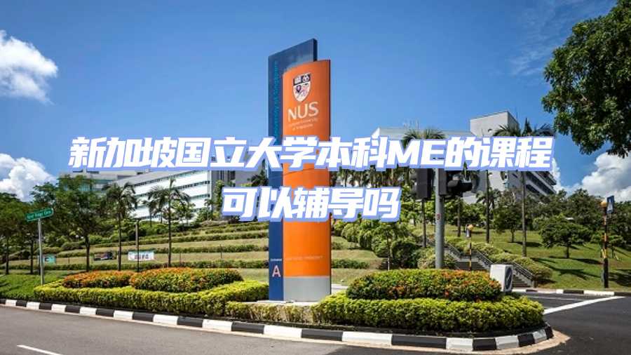 新加坡國立大學(xué)課程輔導(dǎo)