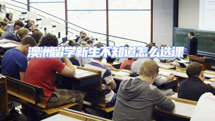 澳洲留學(xué)新生不知道怎么選課