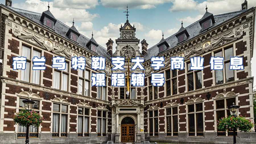 荷蘭烏特勒支大學(xué)商業(yè)信息學(xué)課程輔導(dǎo)