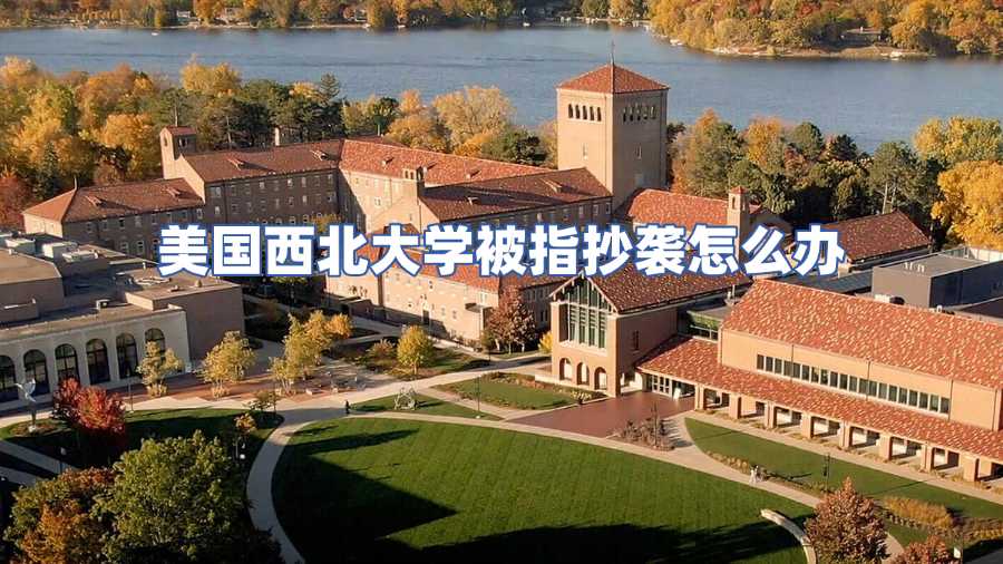 美國西北大學(xué)被指抄襲怎么辦