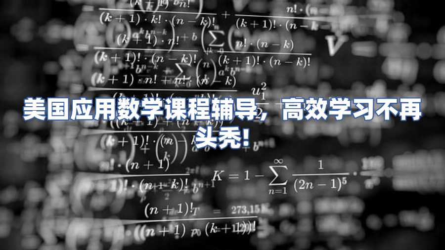 美國應(yīng)用數(shù)學(xué)課程輔導(dǎo)