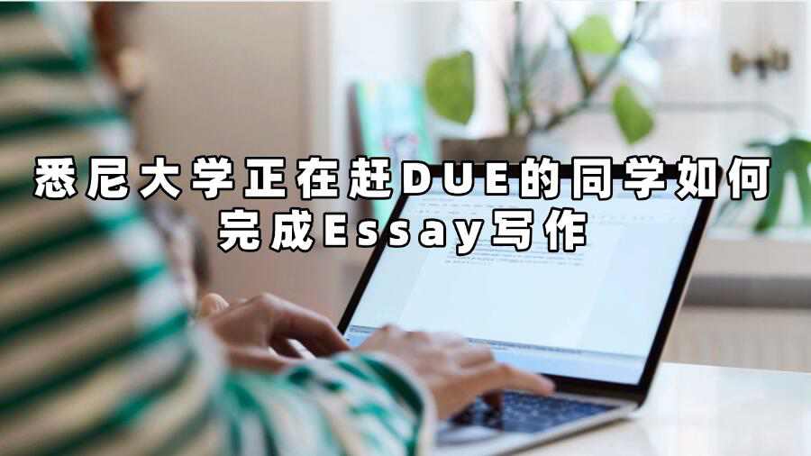 悉尼大學(xué)Essay寫作