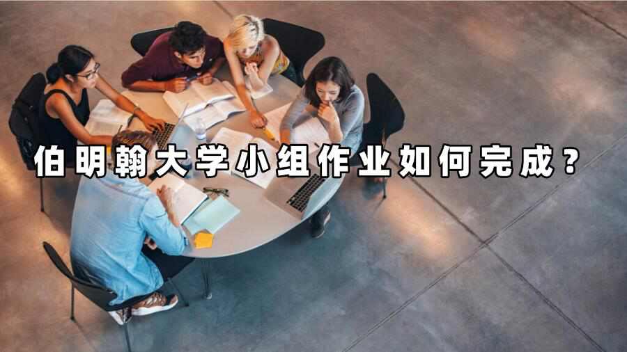 伯明翰大學(xué)小組作業(yè)