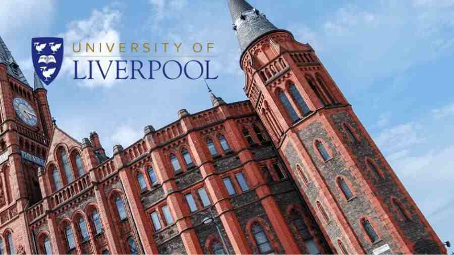 利物浦大學大二課程預習