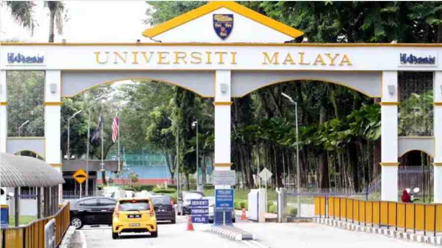 馬來亞大學(xué)選課指導(dǎo)