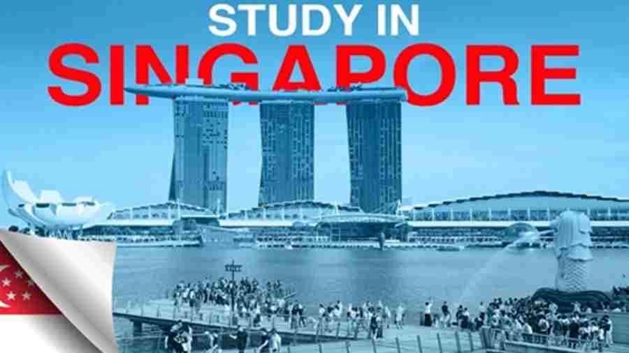 新加坡預(yù)科課程輔導(dǎo)