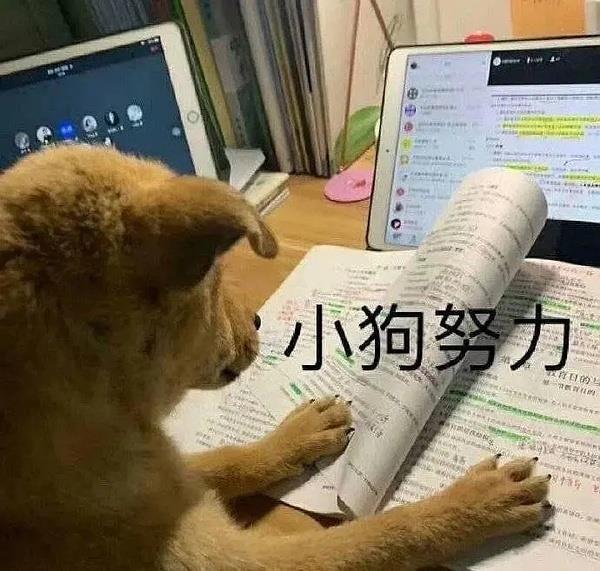 聽說還有海馬er不知道我們?cè)贐站更新視頻？